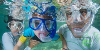 Alisub-Aprende sobre el mar en familia-Learn about the sea with your family-Aprén sobre el mar en família