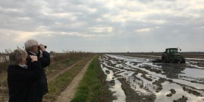 Visit Natura-El ciclo del arroz en l'Albufera de Valencia-The Rice's Cycle in Albufera de Valencia-El Cicle de l'Arroz de l'Albufera de València