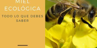 Costa Blanca Nordic Walking-Ruta de Marcha Nórdica y descubre el oficio de Apicultor-Nordic Walking Route and discover the profession of Beekeeper-Ruta de la marxa nòrdica i descobreix l'ofici d'apicultor