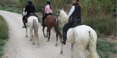 Field and Horse-Paseo entre pinos por el Paraje Natural LES RODANES- Horse ride among pine trees through the LES RODANES Natural Area-Passeig entre pins pel Paratge Natural LES RODANES