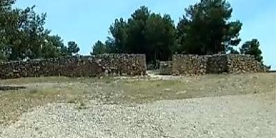 Field and Horse-Paseo en carruaje o a caballo: Tierra de vinos y La Bastida-Horseback riding or carriage ride: Vineyards and La Bastida archaeological site-Passeig en carruatge o a cavall: Terra de vins i La Bastida