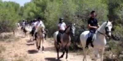 Field and Horse-Iniciación al mundo del caballo-Initiation to the world of the horse-Iniciació al món del cavall