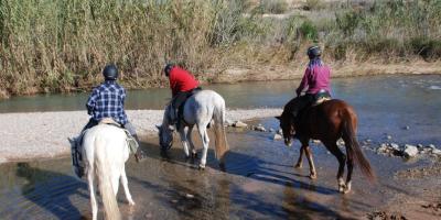 Field and Horse-Paseo a caballo por cauce fluvial: Paraje Natural del río Turia.-Horse ride along a river bed: Turia River Natural Area.-Passeig a cavall per llit fluvial: Paratge Natural del riu Túria.