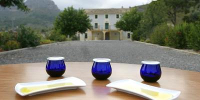  Visit Señorios de Relleu: Teuladi Farm house, Mill and Visit to our Olive groves