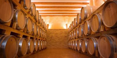 Mañana entre viñedos en la Toscana valenciana
