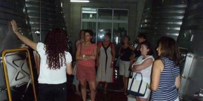 Discover the wine of Alicante