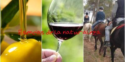 Essence and fusion with nature: Oleo Wine Tourism and horse-riding