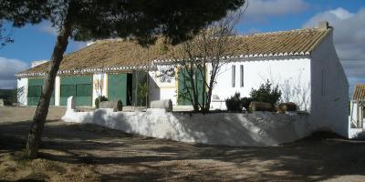Escápate del Museo