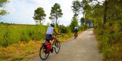Horchata, paella y bicicleta en las afueras de València