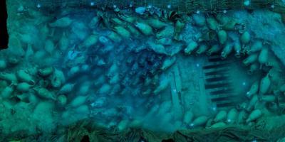 Bou Ferrer. Un viaje submarino de 2000 años