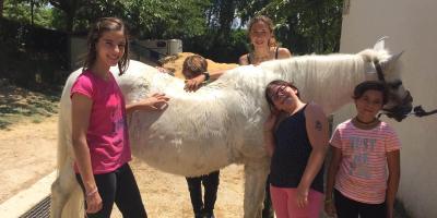 Horseback riding and multiadventure summer camps for children