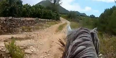 One day horse riding trough Macizo del Caroig
